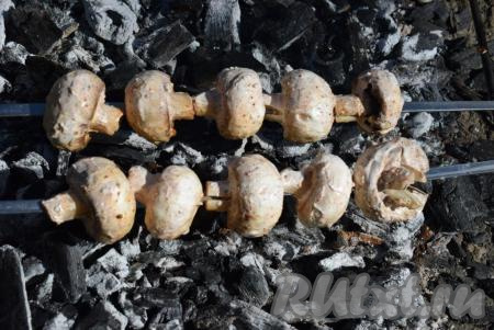 Оставляем шампиньоны для маринования на 2 часа. Разводим костер и ждем, когда он полностью прогорит, чтобы не оставалось открытого огня, а угли хорошо излучали жар. Нанизываем шампиньоны на шампуры и выкладываем на мангал.