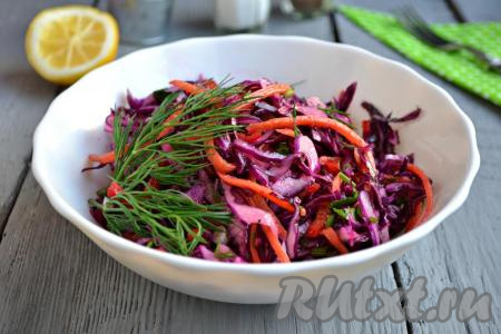 Салат из свежей краснокочанной капусты