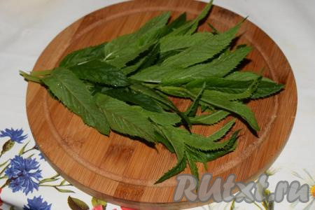 Мяту вымыть под проточной холодной водой.