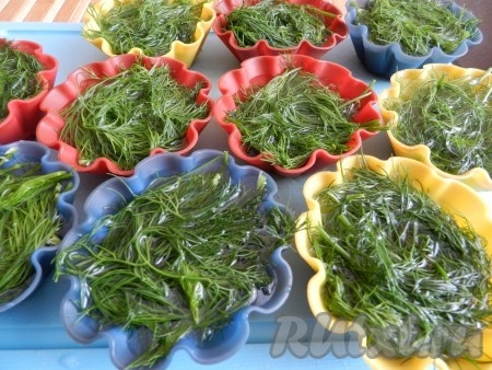 Залить формочки чистой холодной водой до самых краев, чтобы вся зелень была покрыта водой. Формочки убрать в морозильную камеру холодильника до полной заморозки.
