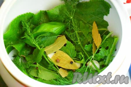 На дно емкости, в которой планируете малосолить огурцы, кладем 1,5 листа хрена, 3 листочка смородины, 5 листиков вишни, половину укропа и 5 зубчиков чеснока, далее выкладываем 5 горошин чёрного перца, 2 горошины душистого перца, 1 бутон гвоздики, 2 лавровых листа.