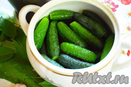 Затем выкладываем огурчики.