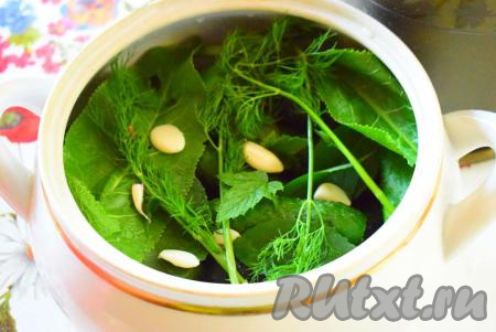 Поверх огурцов раскладываем оставшиеся листья, укроп, чеснок и специи.