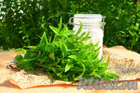 Мяту для приготовления мятного сахара нужно использовать свежую, без следов порчи и вялости.