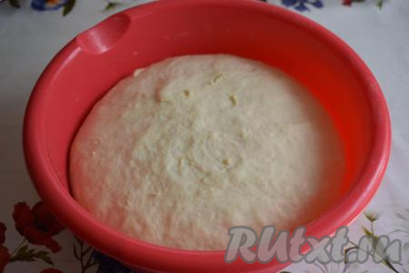 Даем тесту подойти в тёплом месте без сквозняков в течение, примерно, 1 часа, за это время оно должно увеличиться вдвое.