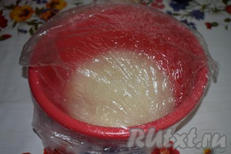 Кладем его в миску и накрываем пленкой или полотенцем.