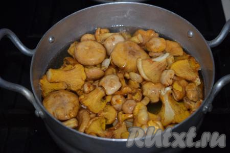 Для приготовления соляного раствора вскипятим 1,5 литра воды и добавим соль. Промытые грибы выкладываем в кипящий соляной раствор и доводим до кипения.