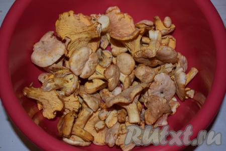 Лисички перебрать, очистив их от крупного мусора (травинок, листочков), срезать часть ножек, на которых остались следы земли.