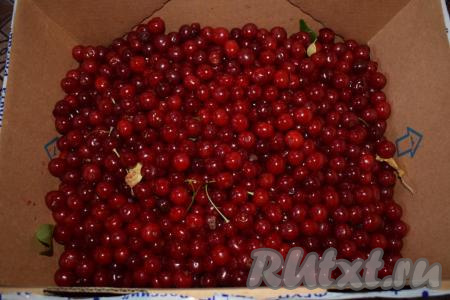 Вишню нужно перебрать, удаляя порченые, подгнившие, черные ягоды.