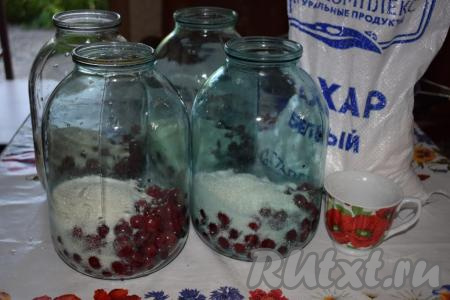 Далее, прямо в банку, засыпаем сахар, я пользуюсь чайной кружечкой (на фото), именно ей отмеряю количество сахара - одна кружка на банку.