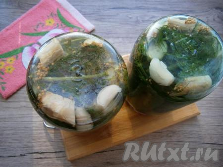 Закатать банки с огурцами крышками, перевернуть.