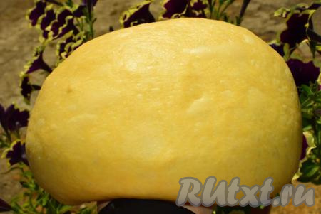 Подошедшее тесто обминаем и даем ему еще раз подойти в течение 20-30 минут.