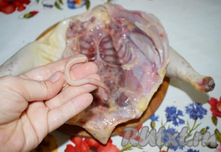 Трахея может содержать в себе остатки пищи птицы и если ее не удалить, то это может испортить как эстетический вид бульона, так и его качество.