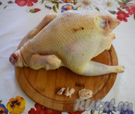 Отрежем у курочки закрылки и верхнюю часть гузки, там находятся железы, которые придают неприятный запах бульону, а нам это совсем не нужно.