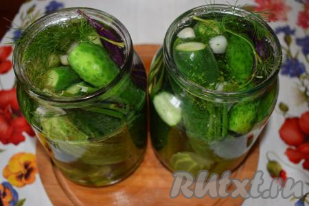 Дадим рассолу немного остыть (примерно, до 80 градусов). Затем зальем рассолом подготовленные банки с огурцами.