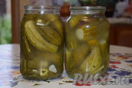 Прикроем огурцы предварительно прокипяченными железными крышками и оставим на 3 дня перекисать при комнатной температуре.
