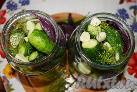 Закладываем в банки огурцы. Поверх огурцов выкладываем в банки по одному листику базилика и по 2-3 очищенных зубчика чеснока.