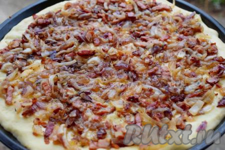 &nbsp;Раскладываем по поверхности теста остывшую начинку и ставим луковый пирог в разогретую духовку.