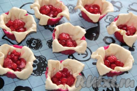 Вот такие заготовочки пирожков получились у меня.