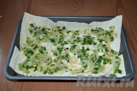 Листы лаваша разрезать на 2 части. 1 лист лаваша выложить в форму. Посыпать зеленым луком.
