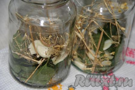 Банки простерилизовать. На дно каждой банки выложить по 2 листочка смородины, зонтику укропа (у меня сушёный). Чеснок очистить, нарезать на тонкие пластины и равномерно распределить по банкам.