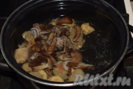 В кастрюлю для супа наливаем 2 литра чистой холодной воды и даем ей закипеть. Добавляем отваренные грибы и варим их с момента закипания 10 минут на небольшом огне.