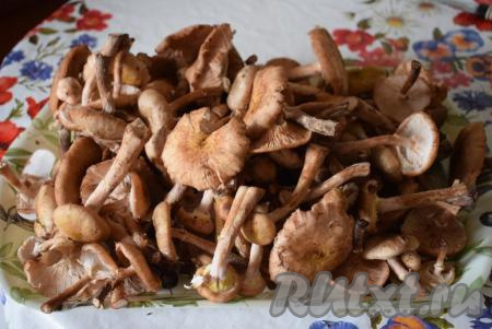 Лесные грибы очищаем от мусора, промываем и даём стечь воде. Нарезаем грибы на, примерно, одинаковые кусочки.