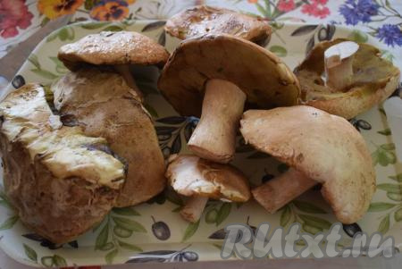 Лесные грибы очищаем от мусора, промываем и даём стечь воде. Нарезаем грибы на, примерно, одинаковые кусочки.