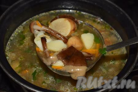 Суп из свежих лесных грибов получается очень красивым, с прозрачным бульоном, насыщенным вкусом и ароматом.