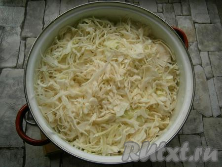 Капусту тонко нарезать и выложить в большую кастрюлю. 