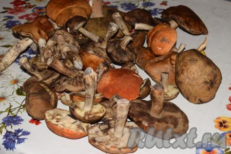 Подосиновики (я собрала ещё и подберёзовики) перебрать, оставляя только крепкие, целые, не червивые грибы. Для удаления&nbsp;пыли, мусора и земли промоем подосиновики под проточной водой (надолго оставлять трубчатые грибы в воде не рекомендуется, так как они начинают впитывать много влаги).