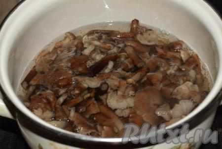 Для приготовления маринада наливаем в кастрюлю 0,8 литра чистой воды, выкладываем в неё отваренные опята и доводим до кипения.