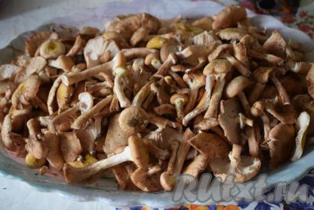 Оставим промытые грибы в дуршлаге минут на 10, чтобы стекла вода. Если опята очень крупные, разрежьте их на несколько частей, длинные ножки разрежьте пополам.