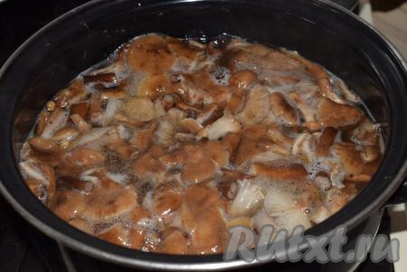 Варим грибы с момента закипания 30 минут на медленном огне. Грибы в процессе отваривания очень сильно уменьшатся в размерах. 