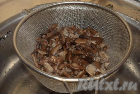 Далее сливаем жидкость, в которой отваривались наши опята, при помощи дуршлага. Промываем опята под проточной водой и даем стечь жидкости.