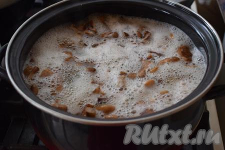 Доводим опята до кипения и снимаем пену.