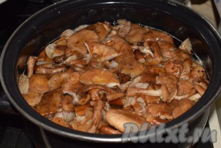 &nbsp;Кладем подготовленные опята в кастрюлю. 