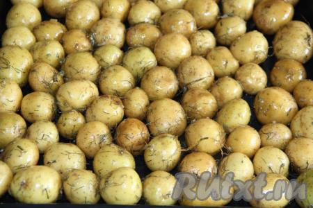 Выложить картофель на противень в один слой.