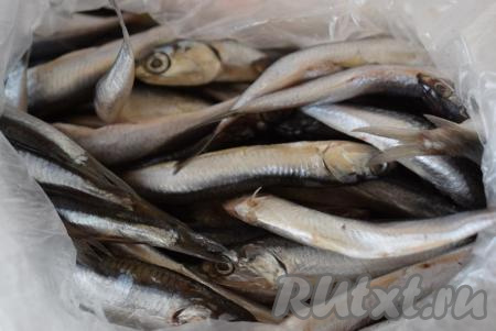 Хамсу промыть под проточной водой.