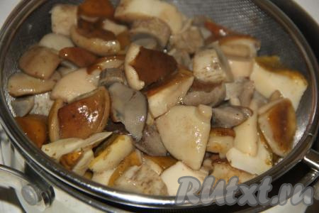 Воду соединить с солью (из расчета 50 грамм соли на 1 литр воды), всыпать грибы, поставить на огонь и довести до кипения. Варить грибы с момента закипания 30 минут на небольшом огне. Затем откинуть на дуршлаг.