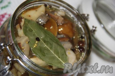 Горячим маринадом залить вареные грибы в банке.