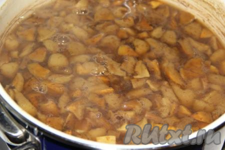 Выложить грибы в кастрюлю и полностью залить водой, поставить на огонь, довести до кипения, затем, уменьшив огонь, варить 35 минут.