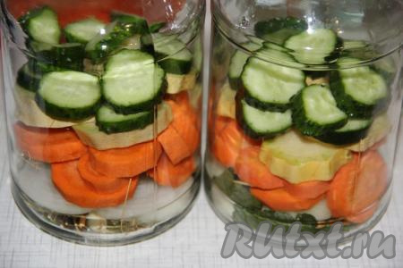 Далее идёт слой кружочков огурца. Слои можете формировать по своему вкусу.