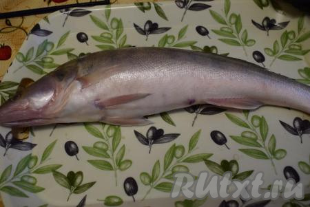 Каждого судака промываем под холодной водой и обсушиваем.