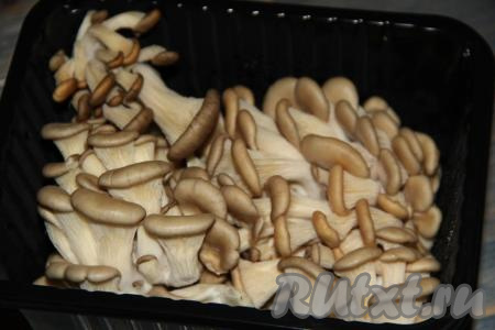 Свежие вешенки продаются во многих гипермаркетах.