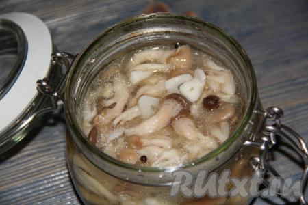 Переложить грибы в стеклянную банку, закрыть крышкой, дать остыть и поставить на сутки в холодильнике. Наши маринованные вешенки готовы к употреблению. Из этого количества получается баночка объёмом 400 мл. Маринованные вешенки - это быстрая и вкусная закуска, которую можно легко приготовить в домашних условиях.​​​
