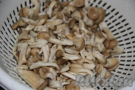 Срезать с ножек вешенок землю. Разобрать грибы так, чтобы они были отделены друг от друга. Промыть грибочки под проточной водой. Я выкладываю вешенки в дуршлаг и промываю их под водой.