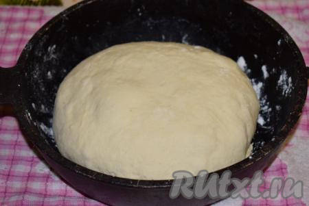 Обминаем подошедшее тесто и, сформировав из него хлеб, выкладываем в форму. Даём хлебу хорошо подойти в течение 30-35 минут. Для того чтобы тесто не заветрилось, накрываем форму полотенцем.