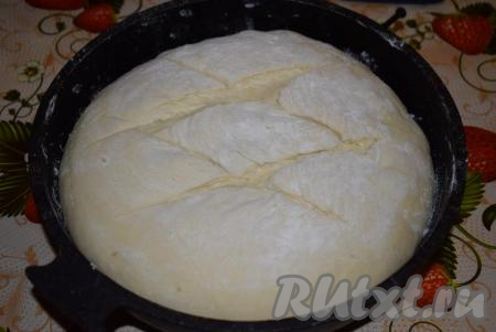 Теперь присыпаем сверху хлеб пшеничной мукой и, по желанию, острым ножом (или лезвием) делаем на поверхности теста надрезы. Ставим подготовленный кукурузный хлеб в разогретую духовку и выпекаем 45-50 минут при температуре 180 градусов (до зарумянивания).