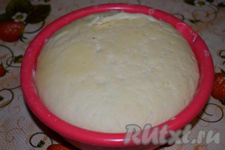 Накрываем тесто полотенцем (или пленкой) и ставим в теплое место без сквозняков на 1,5-2 часа для подъема. Готовое тесто хорошо увеличится в размерах.